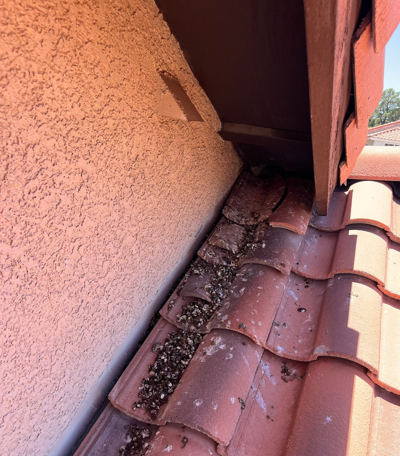 Pigeon spray deterrent application